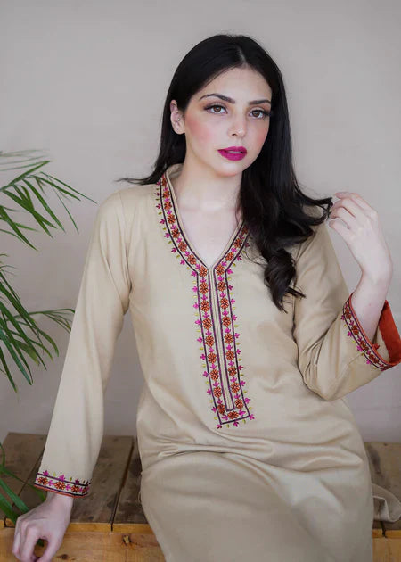 Dhanak 2PC Embroidered-164